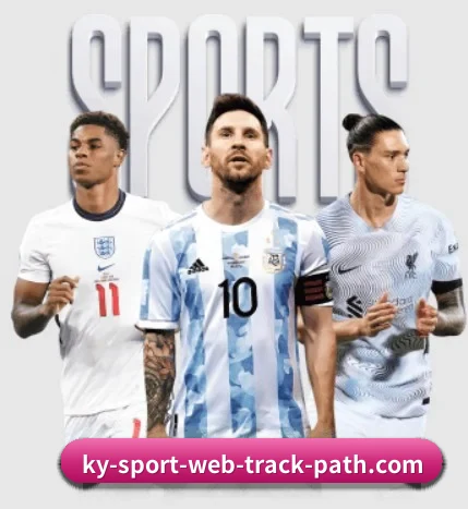 五大服务分区,信息按项目分类 - 多运动项目内容板块