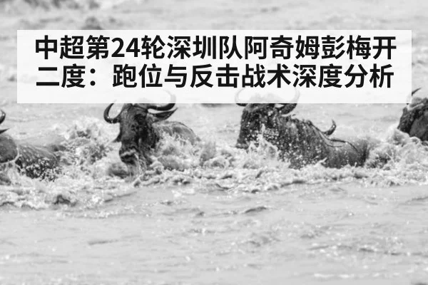 中超第24轮深圳队阿奇姆彭梅开二度：跑位与反击战术深度分析