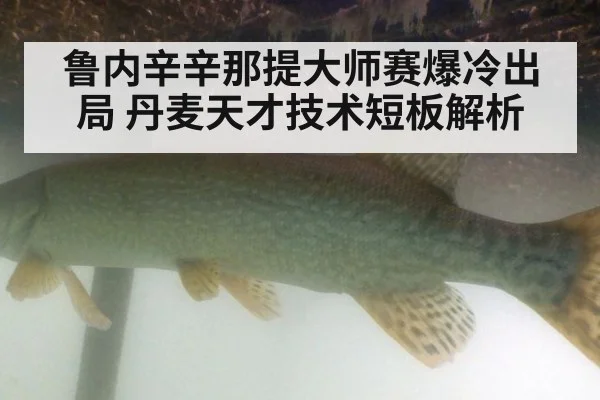 鲁内辛辛那提大师赛爆冷出局 丹麦天才技术短板解析