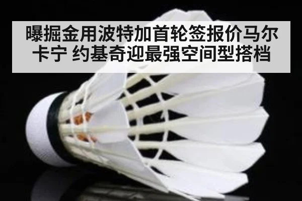曝掘金用波特加首轮签报价马尔卡宁 约基奇迎最强空间型搭档