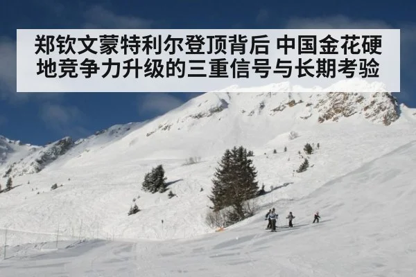 郑钦文蒙特利尔登顶背后 中国金花硬地竞争力升级的三重信号与长期考验
