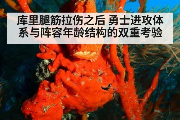 库里腿筋拉伤之后 勇士进攻体系与阵容年龄结构的双重考验